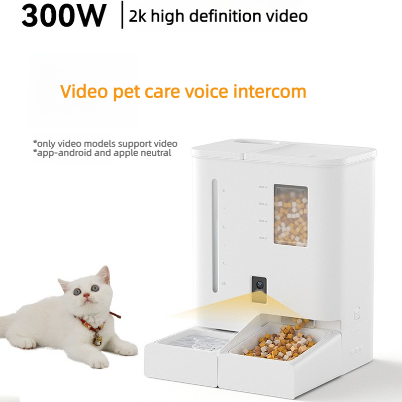 Dispensador Automático de Água - Food Storage Freeze Dried avaliação e preço