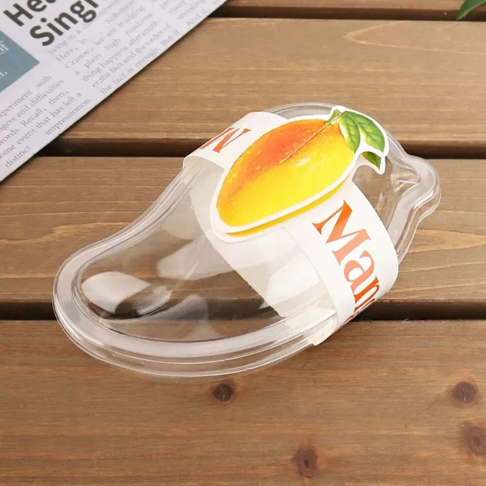 Caixa de bolo transparente em  - Food Storage Containers Xl avaliação e preço